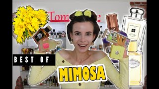 TOP 10 LIST OF BEST MIMOSA FRAGRANCES FROM MY COLLECTION  Tommelise [upl. by Htebazila621]