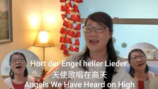 Hört der Engel heller LiederAngels We Have Heard on High天使歌唱在高天 German and Chinese subtiles中德字幕 [upl. by Gwendolyn]