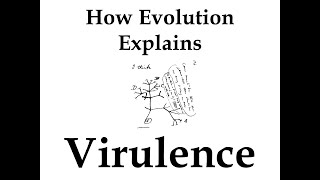 How Evolution Explains Virulence [upl. by Ettevroc]