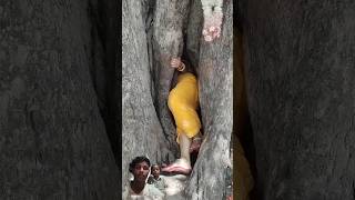 Ped ke ander 😱🤯 song vlog love funny nature shotrs ytshorts [upl. by Gillmore21]