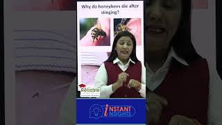 Why do honey bees die after stinging [upl. by Najram276]