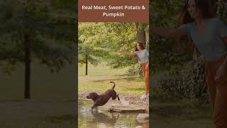 Dry Dog Food with Real Meat shorts NaturesRecipe Pumpkin [upl. by Reifnnej457]