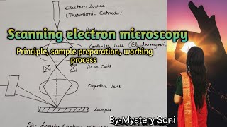 BScMSc Scanning electron microscopy for plant protoplast cells and tissues [upl. by Yht]