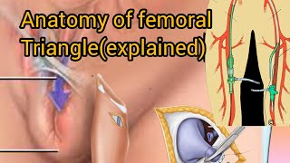 Femoral triangle anatomy  contents and boundaries of femoral triangle [upl. by Shandee]