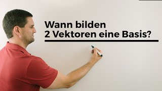 Wann bilden 2 Vektoren eine Basis Mathe by Daniel Jung Erklärvideo [upl. by Eimma]