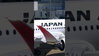 Japan Airlines Has a BOLD New A350 Strategy [upl. by Enneillij]