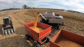 Gleaner Action R62 amp F2  1956 Ford 860  Allis Chalmers 7060  Hilly Beautiful Harvest Chase 2020 [upl. by Pamella]