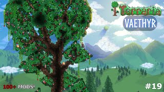 Terraria VAETHYR  Árbol de la Sabiduría  Serie con 100 MODS PT19 [upl. by Fransis771]