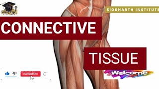 Connective Tissue Information ℹ️💫🧲 [upl. by Sherri]