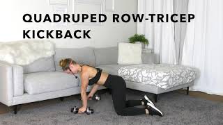 Quadruped RowTricep Kickback [upl. by Nyssa]