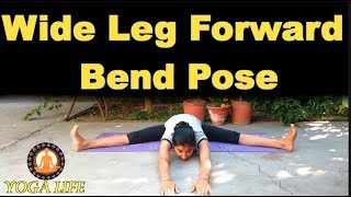 How To do Upavistha Konasana wide leg forward bend Pose  Yoga Life [upl. by Okiram]