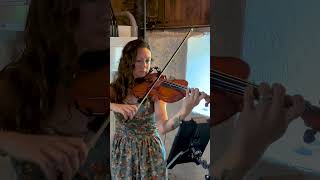 Iron amp Wine  Flightless Bird American Mouth The Fox Music Violin Cover [upl. by Eibot]