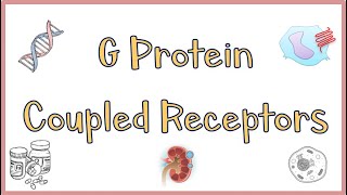 G Protein Coupled ReceptorsGPCRs  Structure Function Mechanism of Action Everything [upl. by Audie436]