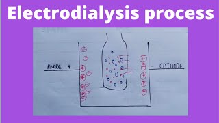 Electrodialysis in hindi  colloidal dispersion  physical pharmaceutics 4 semester [upl. by Anilegnave19]