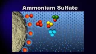 Bioprocessing Part 3 Purification [upl. by Narine]