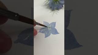 How to paint Nigella Flowers watercolorpainting [upl. by Kubiak956]