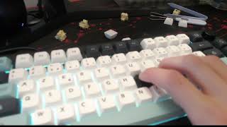 PBT vs ABS keycaps [upl. by Dustan984]