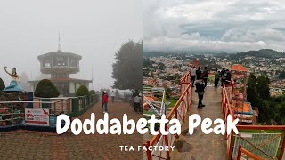 Doddabetta  Highest peak of Nilgiris [upl. by Willis229]