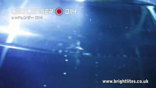 LED Lenser D14 Dive Torch Demo Brightlitescouk [upl. by Kassity]