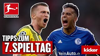 Bundesliga 7 Spieltag  Prognose BVB oder Schalke  wer gewinnt das Derby  Das schnelle Orakel [upl. by Lered]