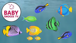 Relaxing Fish Lullabies NO INTERRUPTIONS with Calm Ocean Scene [upl. by Ainad]