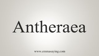 How To Say Antheraea [upl. by Hillyer386]