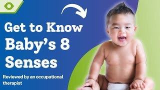 Beyond the Basic Senses Explore Babys 8 Senses and How They Develop [upl. by Attenod]