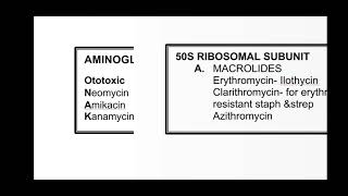 PROTEIN SYNTHESIS INHIBITORS [upl. by Gerhardt994]