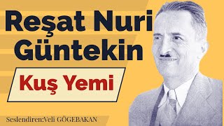 Reşat Nuri Güntekin  Kuş Yemi Sesli Hikaye [upl. by Llemert234]