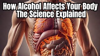 How Alcohol Affects Your Body The Science Explained [upl. by Ydnim821]