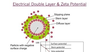 Nanoparticle or Exosome Zeta Potential Measurement by Malvern Nano  DLS  Differential Light Scan [upl. by Lehrer]