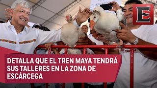 López Obrador entrega apoyos a ganaderos en Escárcega Campeche [upl. by Condon]