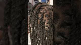 TWO STRAND TWIST locs twostrandtwist [upl. by Treblah]