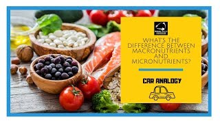 Whats the difference between macronutrients and micronutrients [upl. by Enaile]