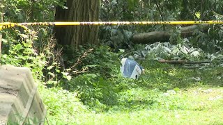 New details in deadly Clinton County plane crash [upl. by Alehs]