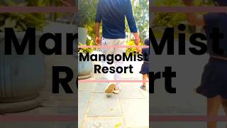 Mango Mist Resort Bangalore  Best resort in Bangalore  Weekend getaway travel adventure vlog [upl. by Reidid]