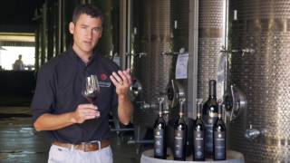 Tasting Pinotage at Aaldering Wines [upl. by Kcirej]