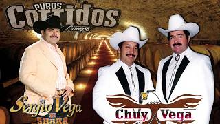 SERGIO VEGA amp CHUY VEGA SUS MEJORES CANCIONES ⚡ PUROS CORRIDOS VIEJITOS [upl. by Modesty]