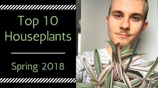 Top 10 Houseplants  Spring 2018 [upl. by Karie974]