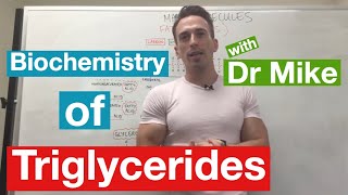 Fatty Acids Glycerol and Lipids  Biochemistry [upl. by Ennoirb560]