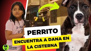 Perrito de la casa fue quien enconcontro a Dana Ramos Pilataxi ecuador [upl. by Fiertz47]