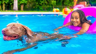 Dog SAVES GIRL IN THE POOL What Happens Is SHOCKING  FamousTubeFamily [upl. by Galligan46]