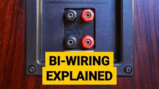 BiWiring Explained  How to Bi Wire Speakers [upl. by Bazluke]