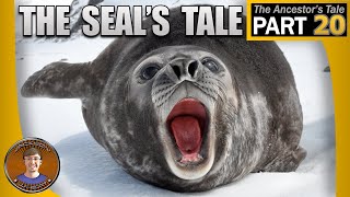 The Seals Tale [upl. by Airotel]