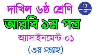 Dakhil Class 6Arabic 1st Paper  Assignment1  দাখিল ৬ষ্ঠ শ্রেণি আরবি ১ম ৩য় সপ্তাহ [upl. by Broeker395]