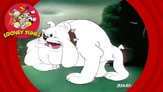 Looney Tunes  Ding Dog Daddy  Friz Freleng directed cartoon [upl. by Montagna]