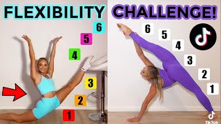 FLEXIBILITY TIK TOK CHALLENGE TWIN VS TWIN [upl. by Jenifer913]