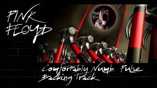 Pink Floyd Guitar Backing Track Comfortably Numb live Pulse Full HD version 2 [upl. by Gujral153]