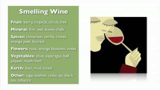 Wine Basics from My Wine Smarts [upl. by Thisbe]