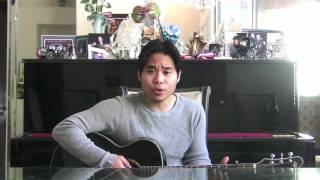 Viet Khang  Anh La Ai Who Are You English Version [upl. by Melamie]